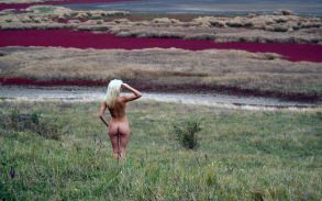      ,    , ,  , erogirls (2066)